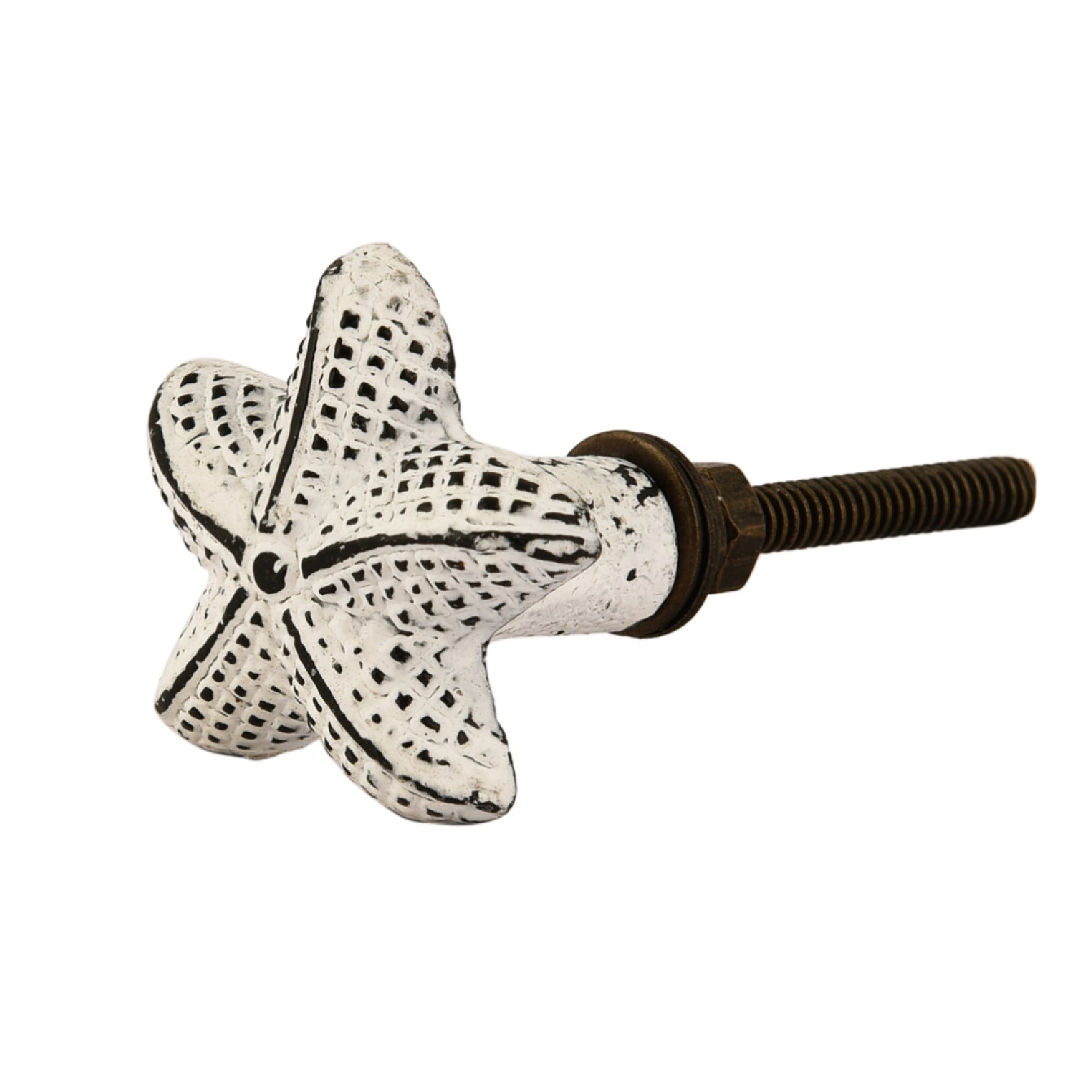 Star Fish Cabinet Knob in Distressed White