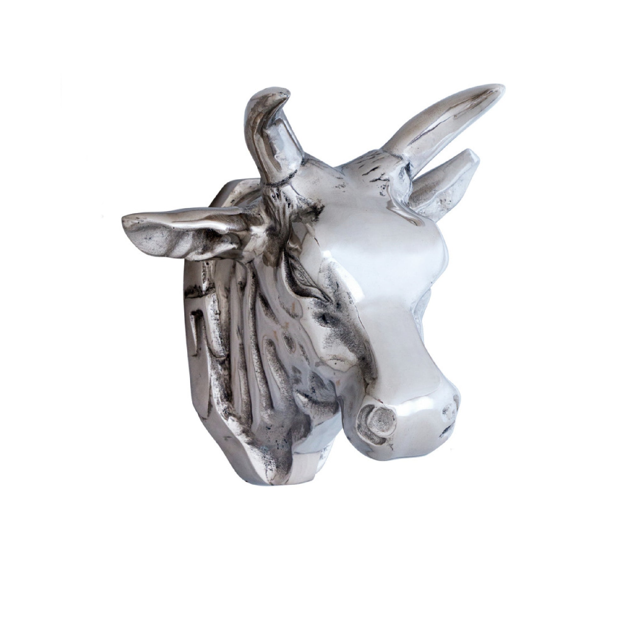 Mounted Bull Head Wall Decor