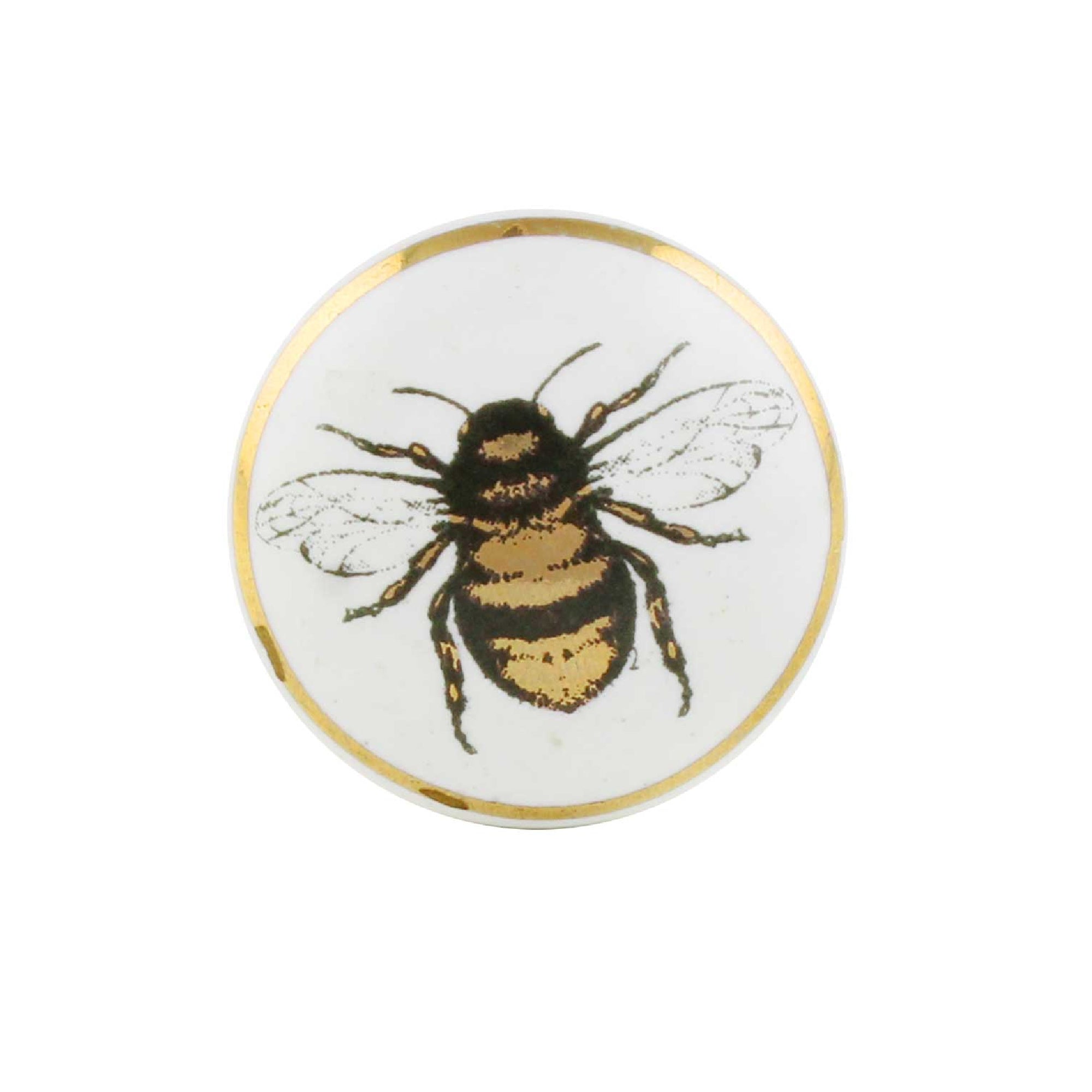MSVN5CK10248_1.jpg
